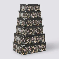 5five 6 boîtes coins, Jungle