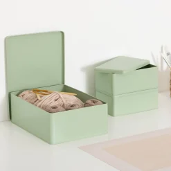 5five Lot de 3 boîtes de rangement, L.31/20,5 cm, Vert Clair