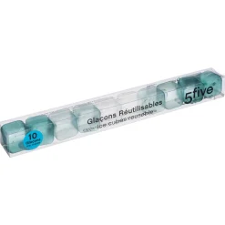 5five Lot de 10 glacons réutilisables