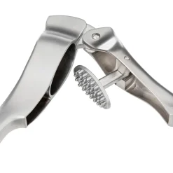 5five Presse ail, Zinc